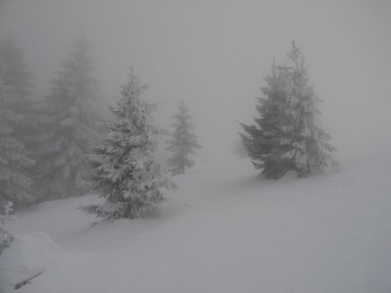2008-12-27 Feldberg (00) Wintery Conditions